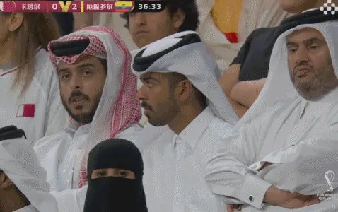 卡塔尔有钱人也不快乐表情包