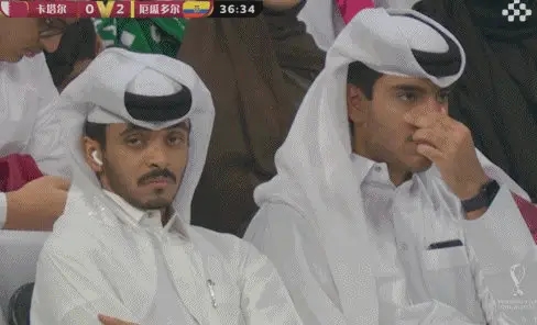 卡塔尔有钱人也不快乐表情包