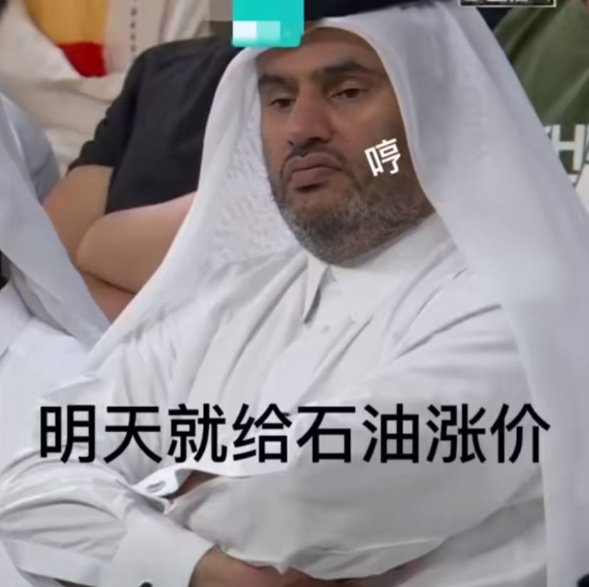 卡塔尔王子表情包关空调图片大全高清版
