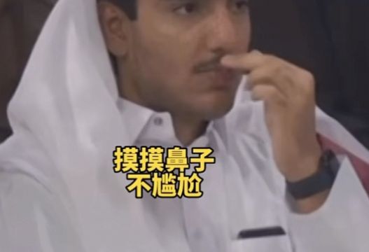 卡塔尔悲伤王子接化发气出表情包图片高清版